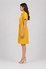 Striped Shirt Dress