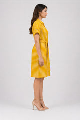 Striped Shirt Dress