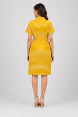 Striped Shirt Dress
