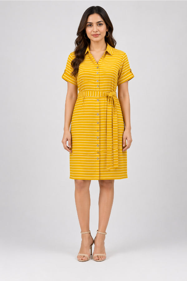 Striped Shirt Dress