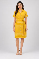 Striped Shirt Dress