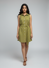 Striped Shirt Dress